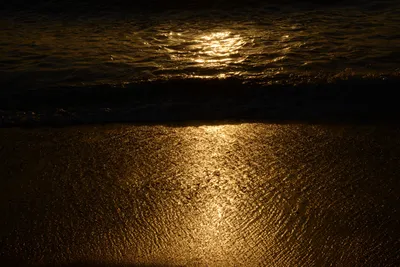 DSC_7099 (Large).JPG